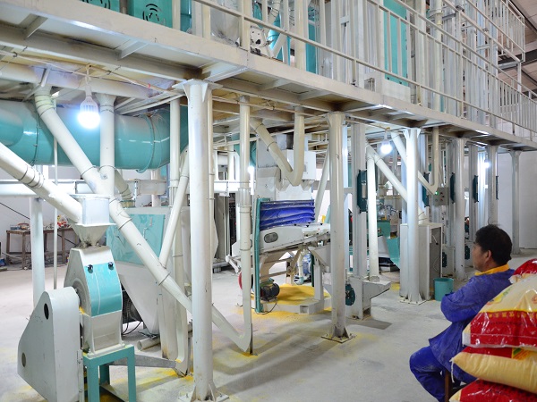 <a href=http://www.fpadna.com/product/6/ target=_blank class=infotextkey>玉米加工設備</a>