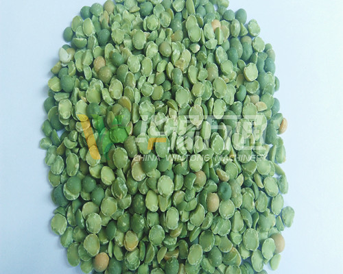 <a href=http://www.fpadna.com/product/8/ target=_blank class=infotextkey>豌豆脫皮機</a>